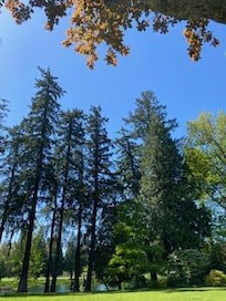 On Reed College (which is very close by) the pretty garden we walked around.