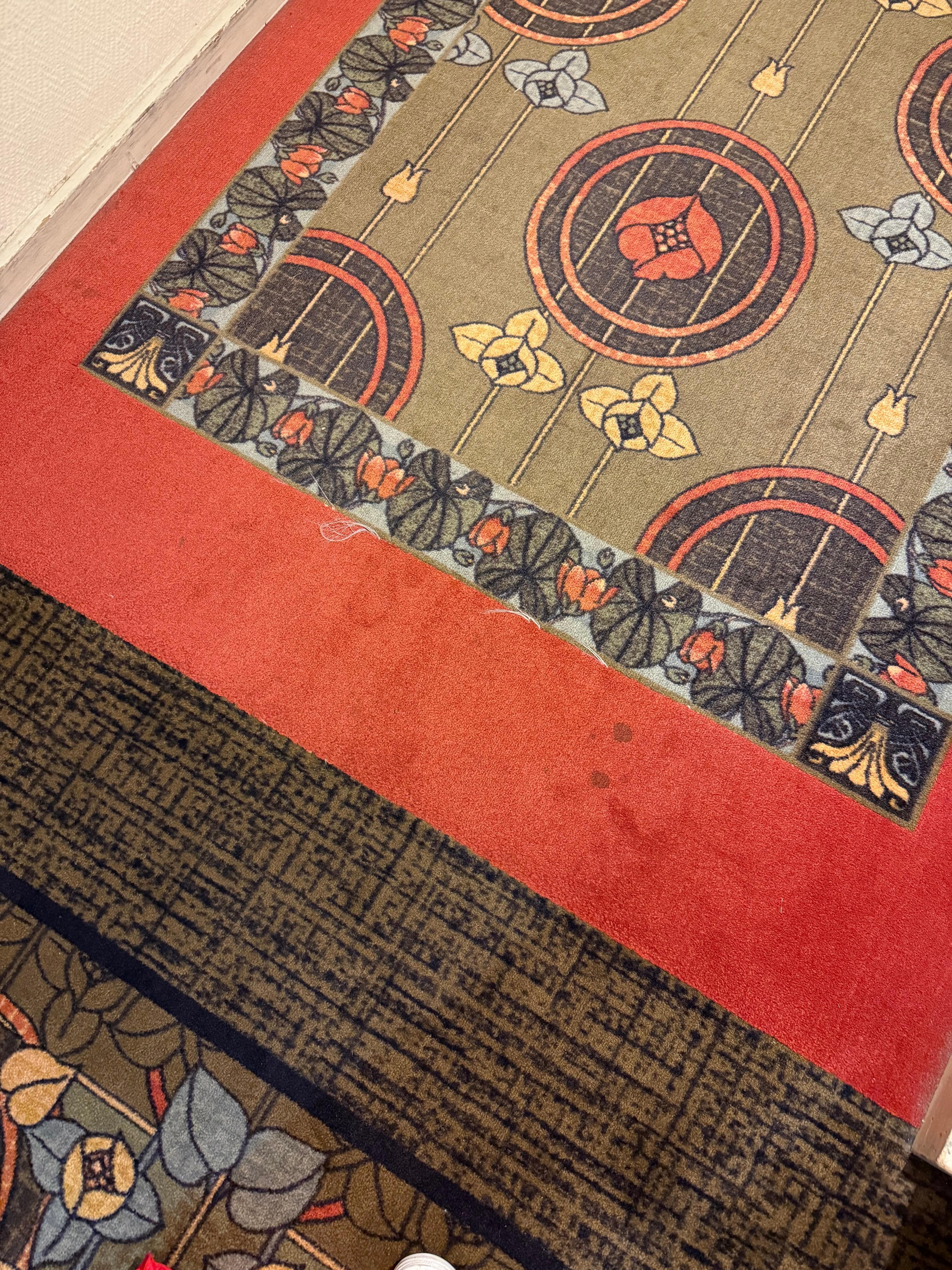 The stained carpet in the hallway. They actually look worse in person than in this picture.