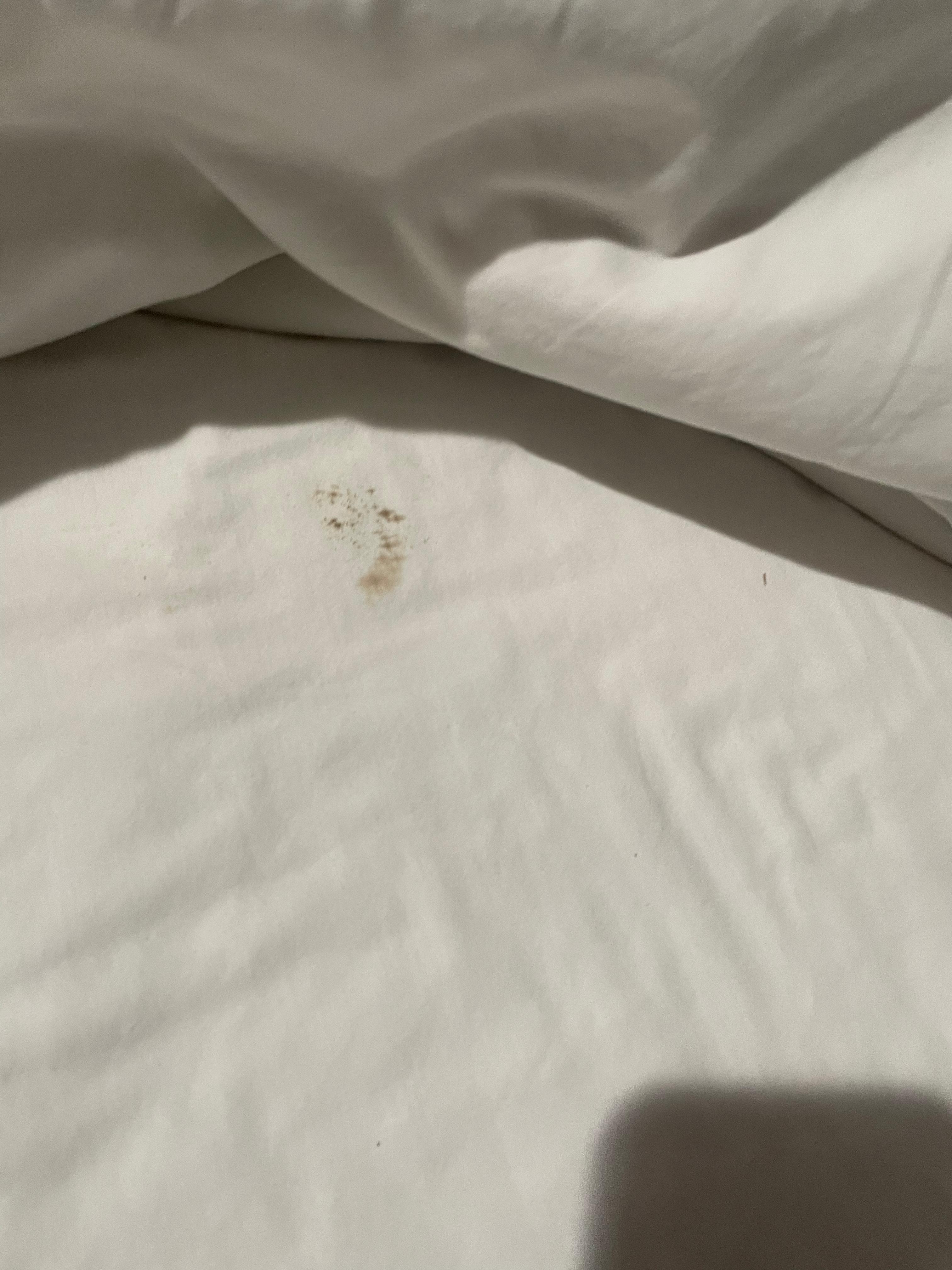 Probably just a stain, but why would you use that if you noticed it when putting the bedding on?