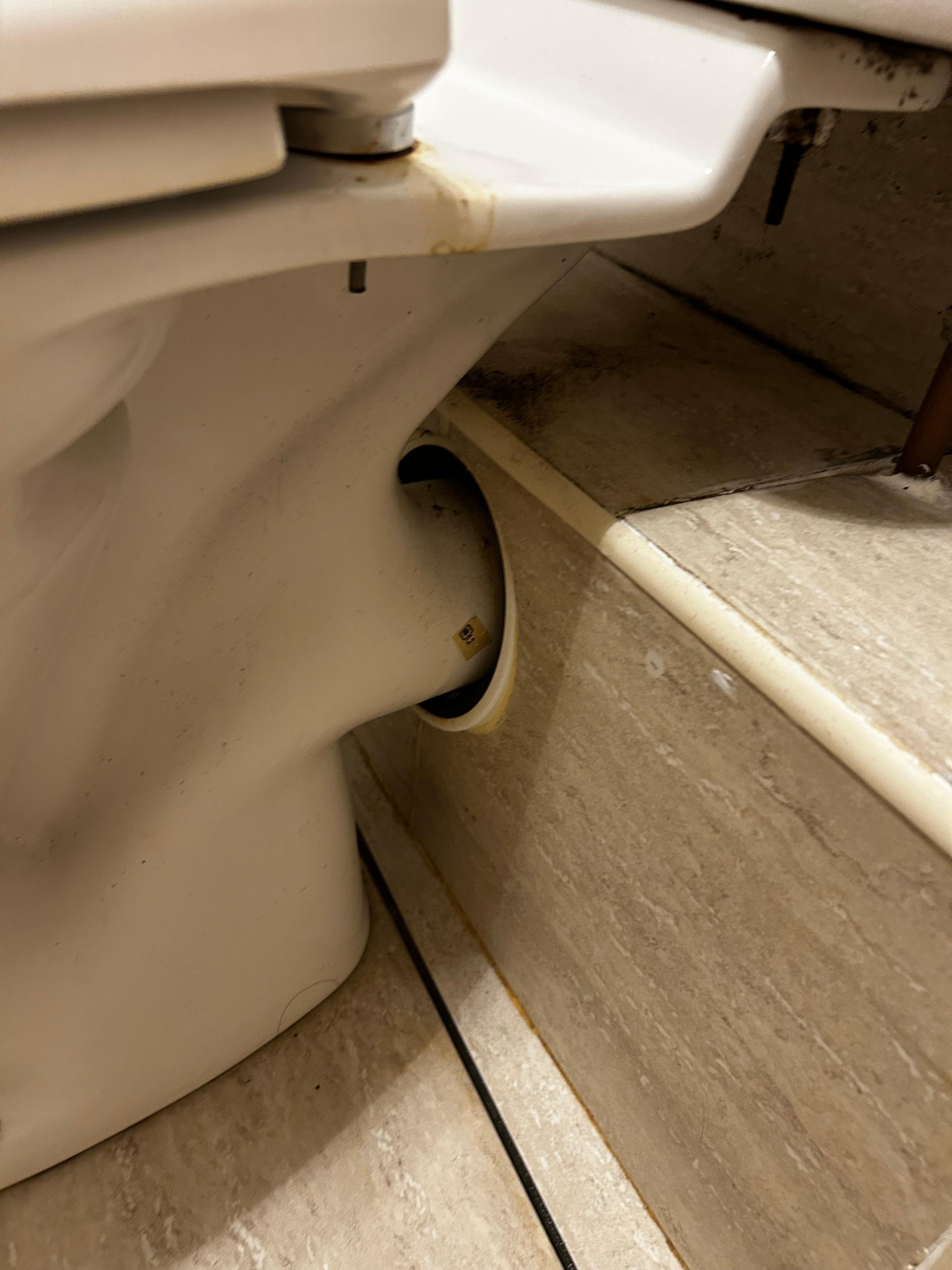 Back of toilet dirty 