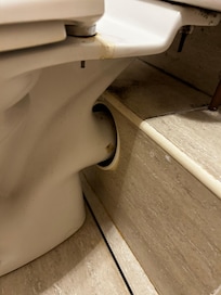 Back of toilet dirty