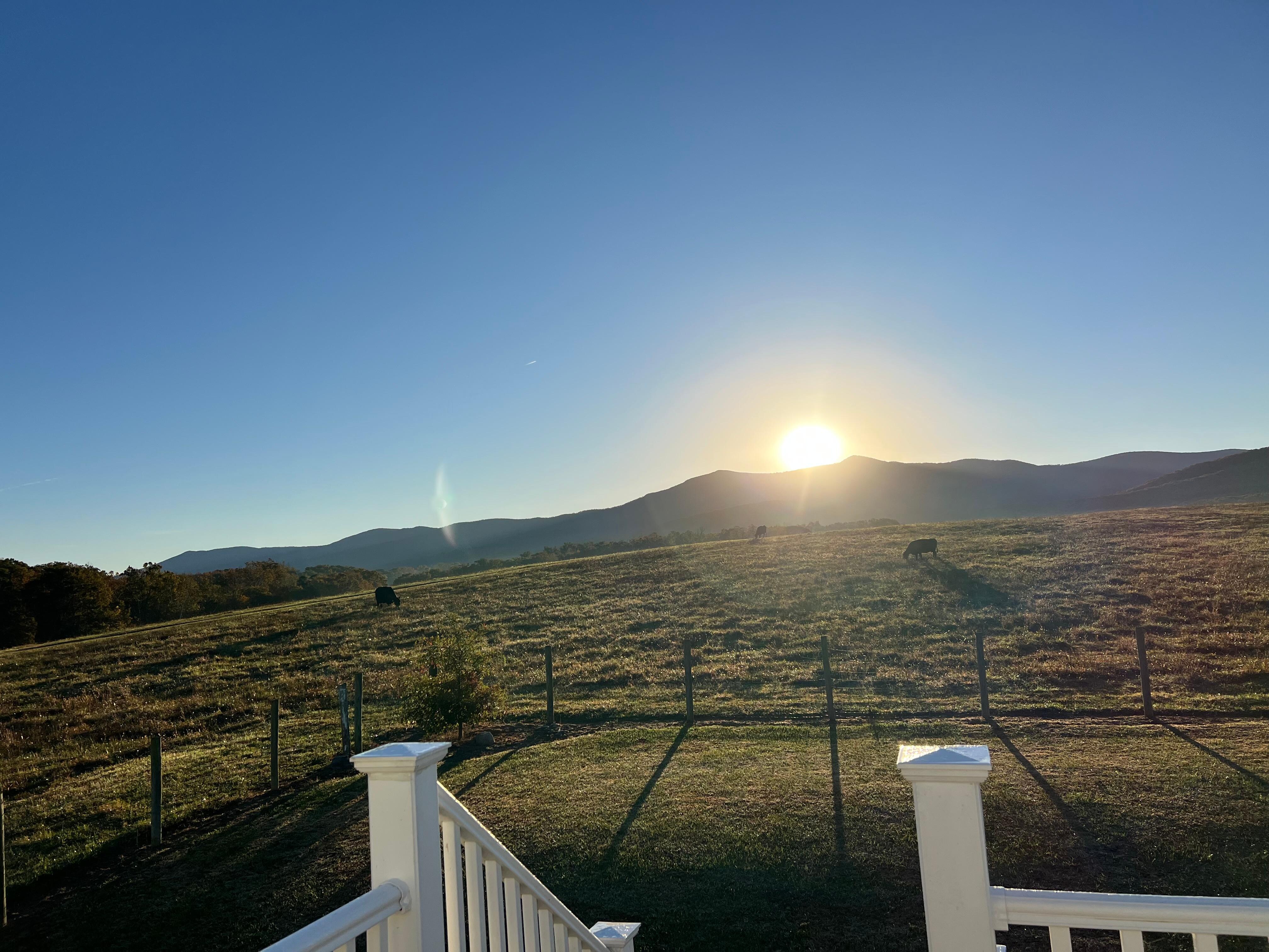 Sunrise from the back porch/entry