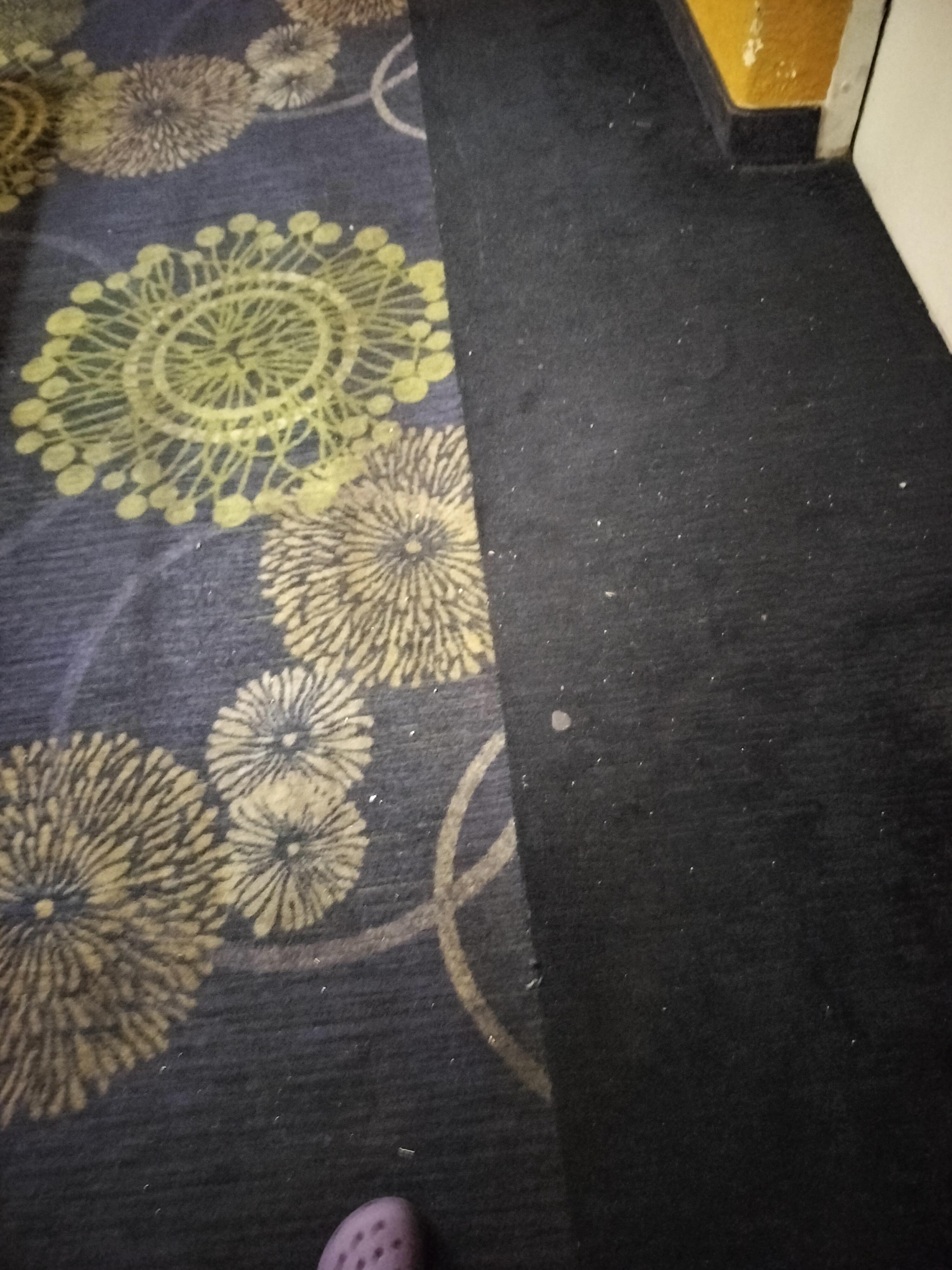 Debris on hallway floor 