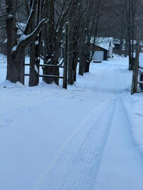 The drive from the street is long! Great for noise reduction