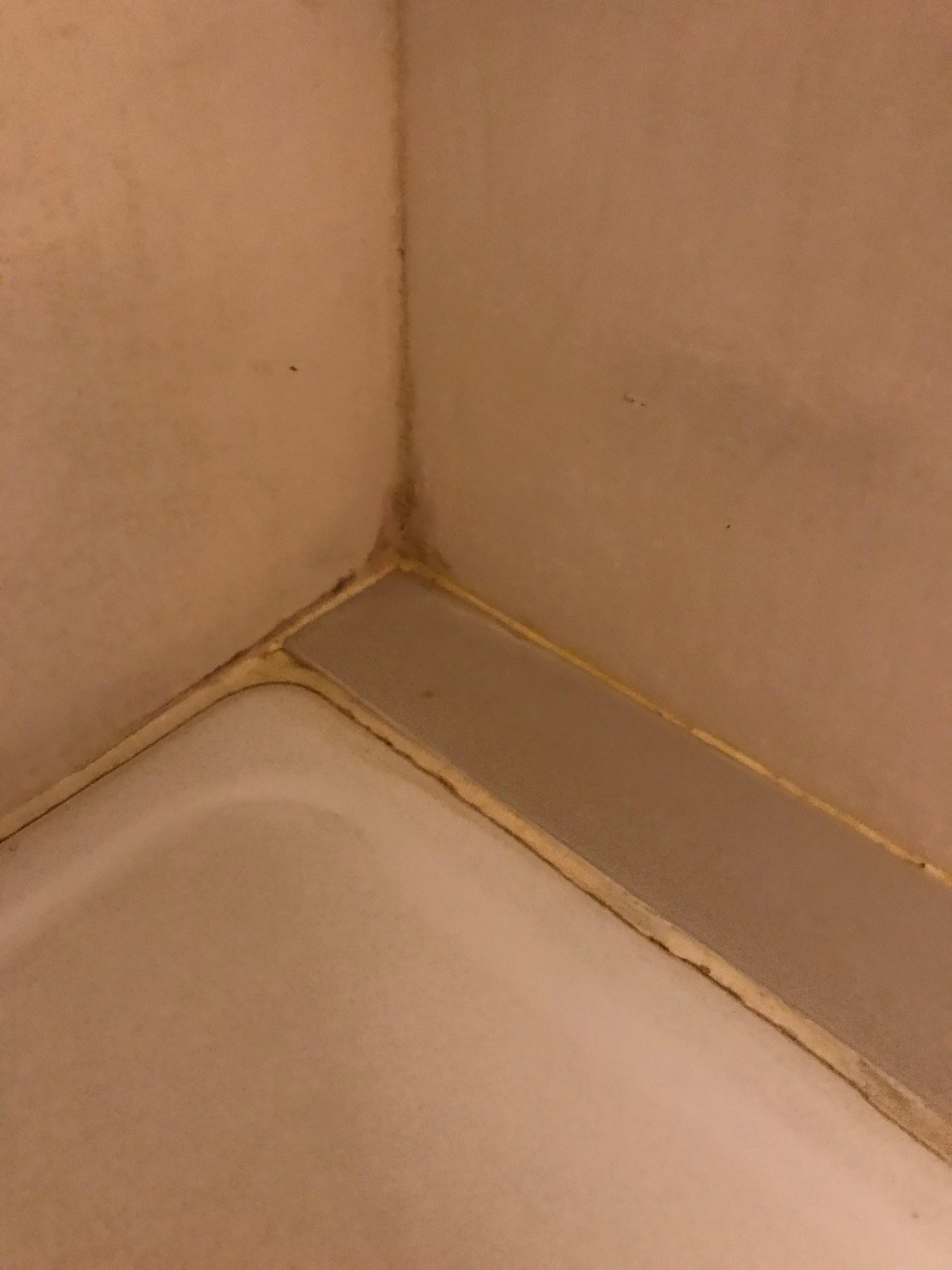 Mould in bathroom 