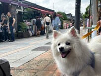 전주 한옥 마을