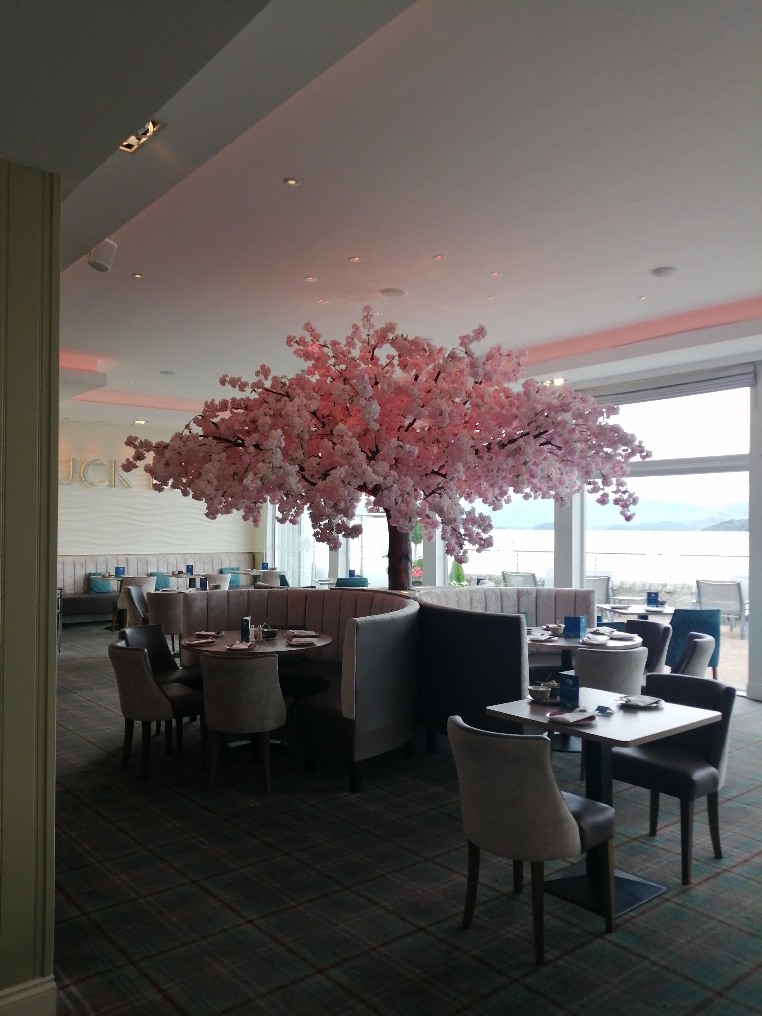Lovely breakfast area