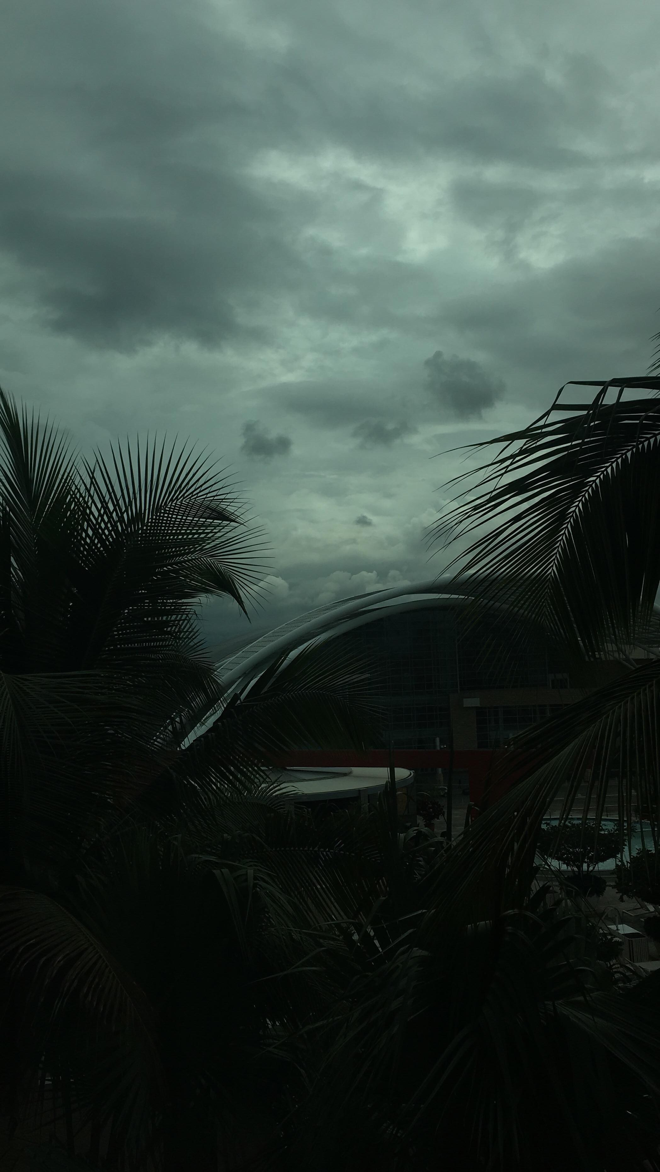 View from 709