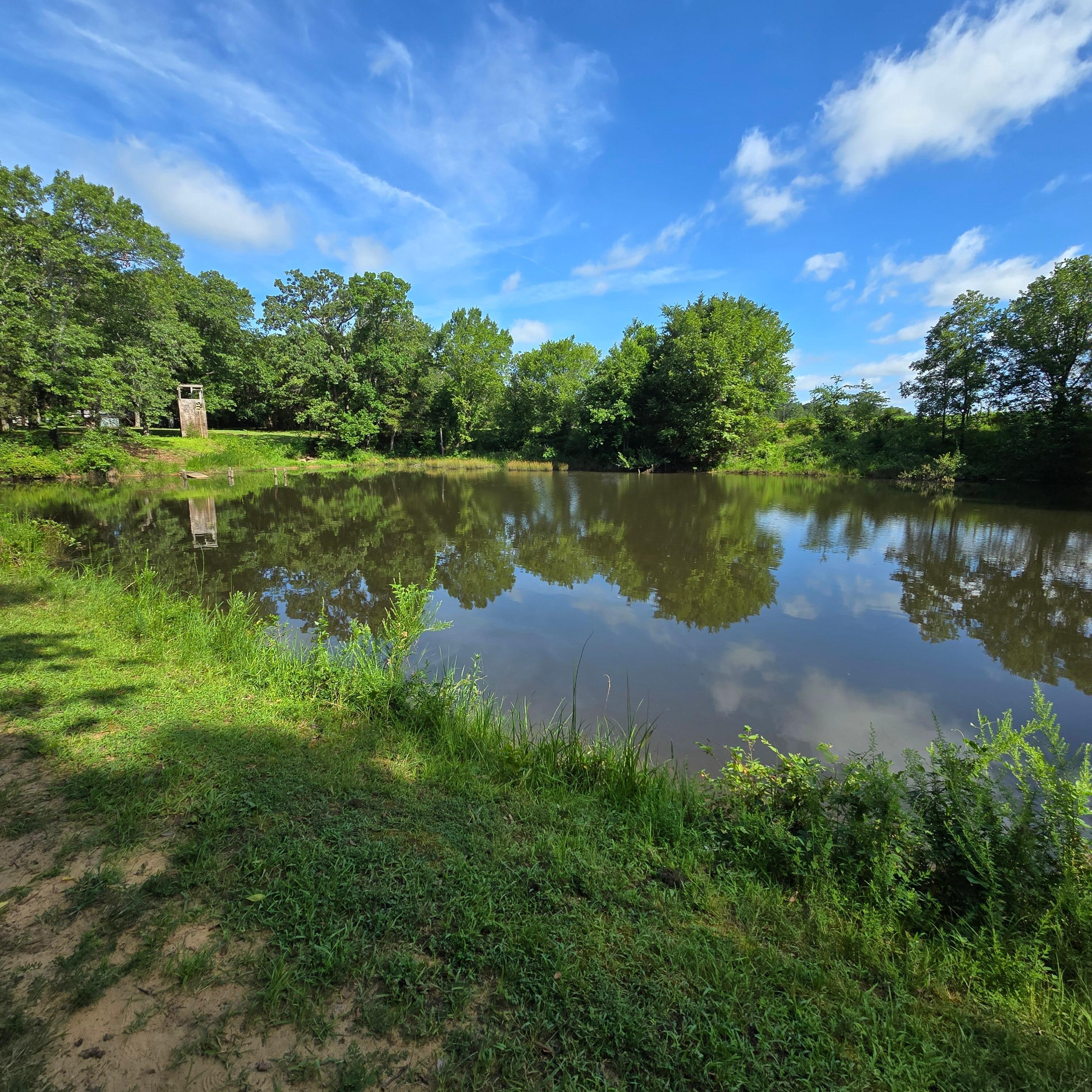 The fishing pond where we caught most of our fish 