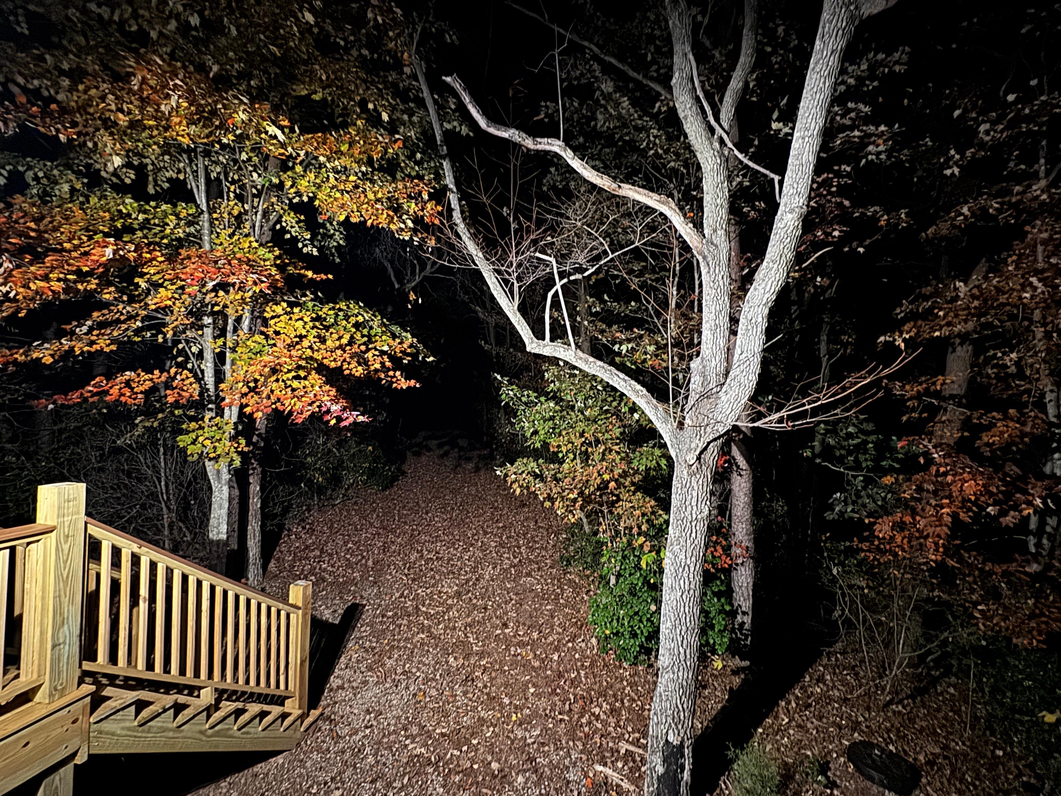view from the back porch at night 