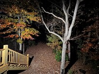 view from the back porch at night