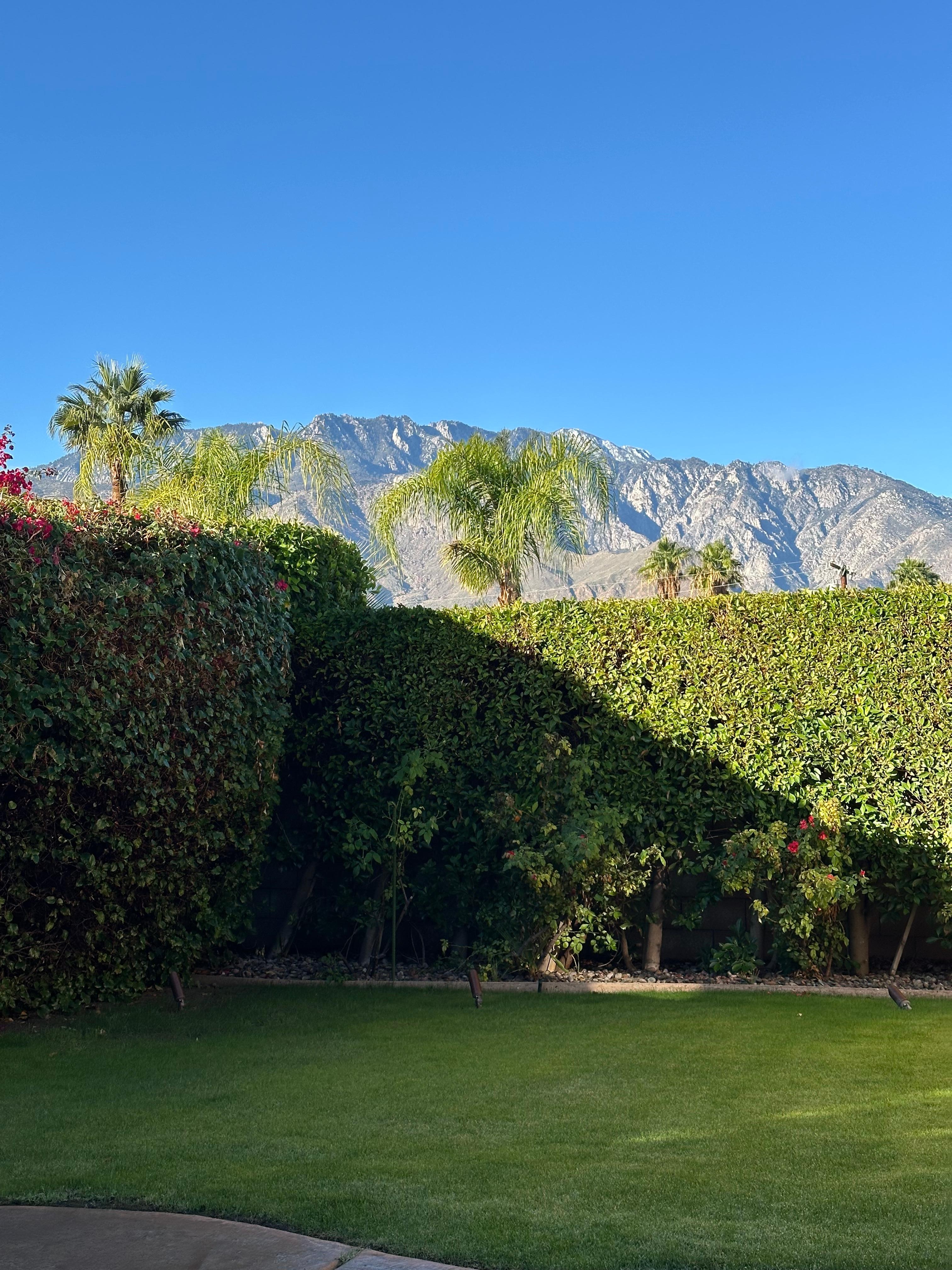 View from backyard dining area 