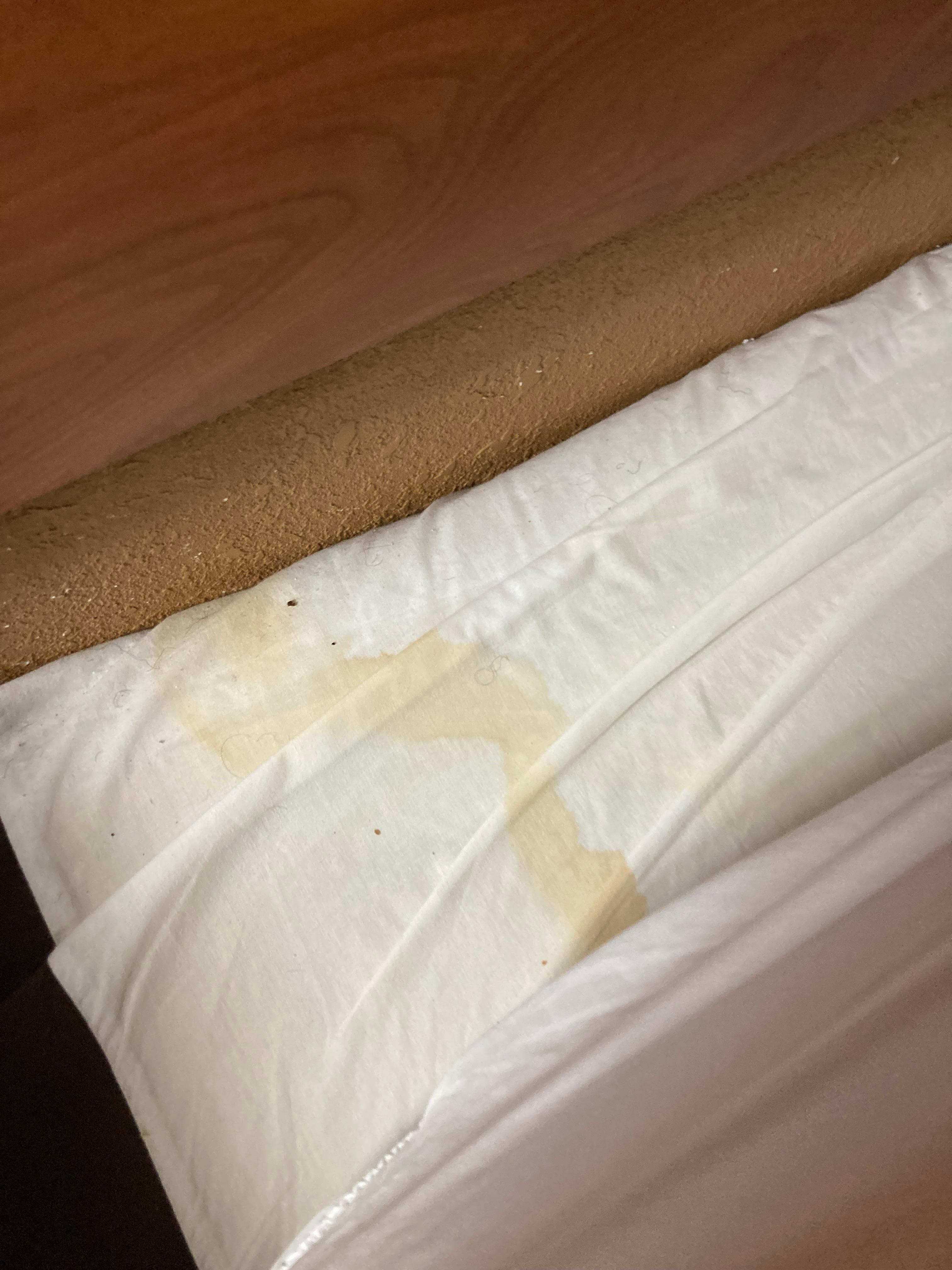 Pee stain on bed mattress 