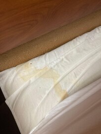 Pee stain on bed mattress