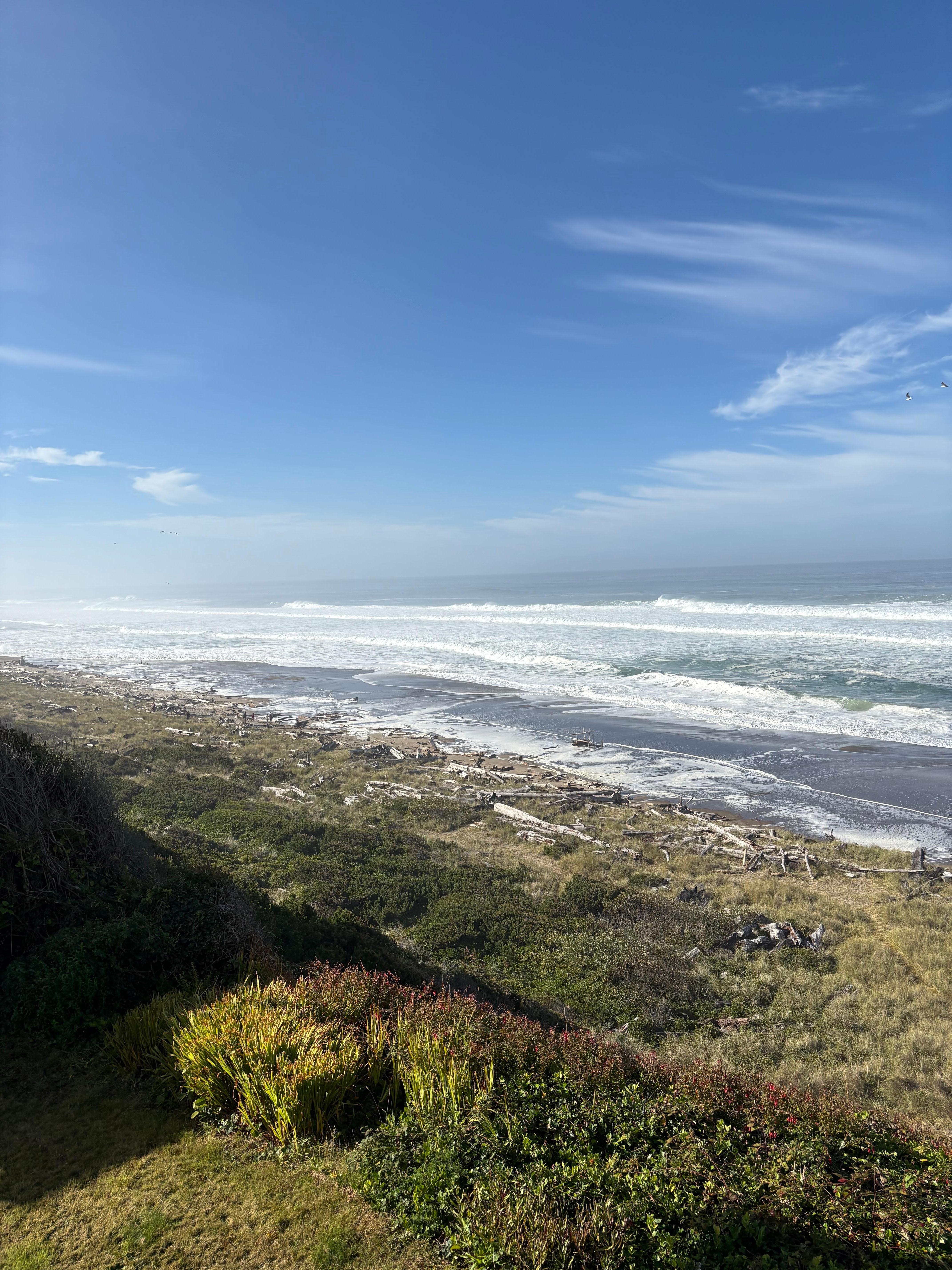 View from deck to the south 