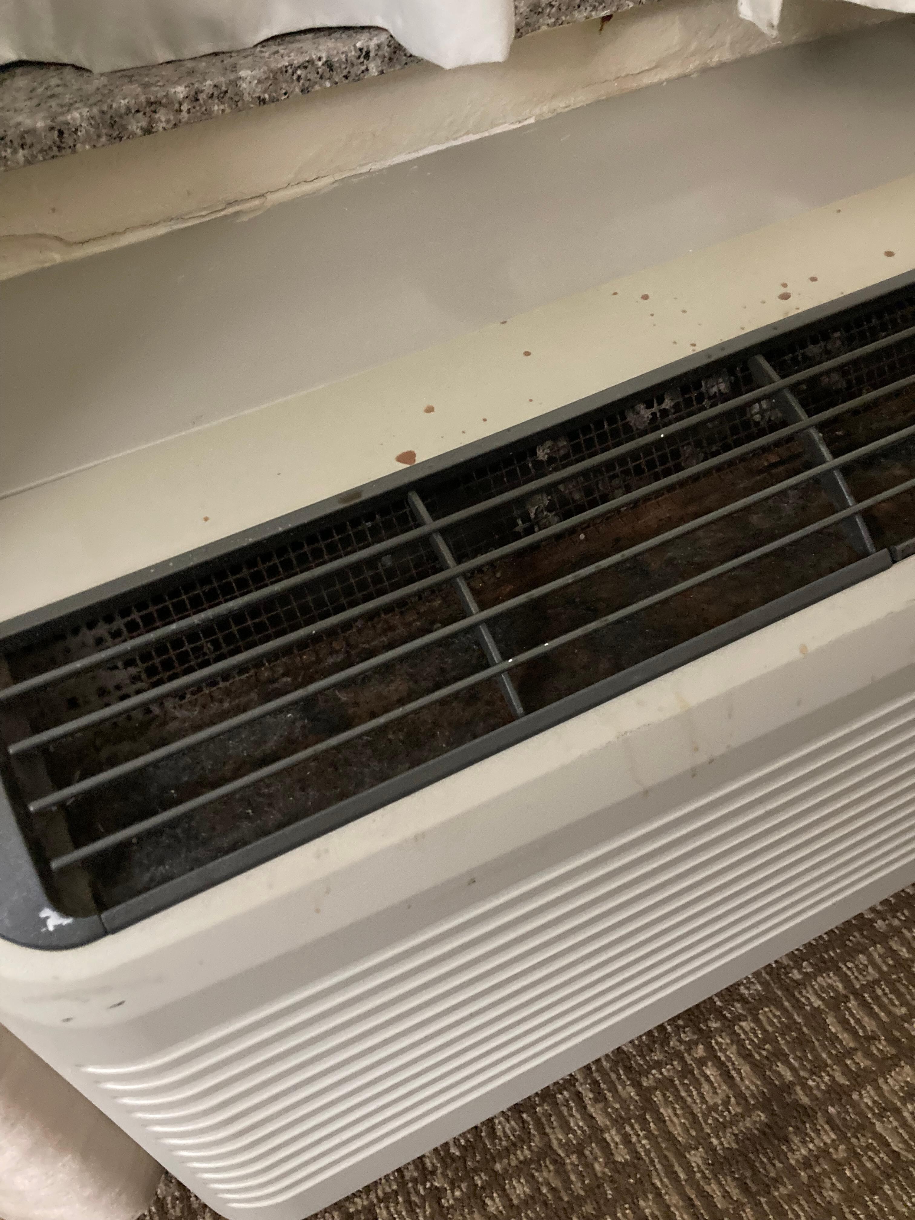 Air conditioner in disgusting shape.