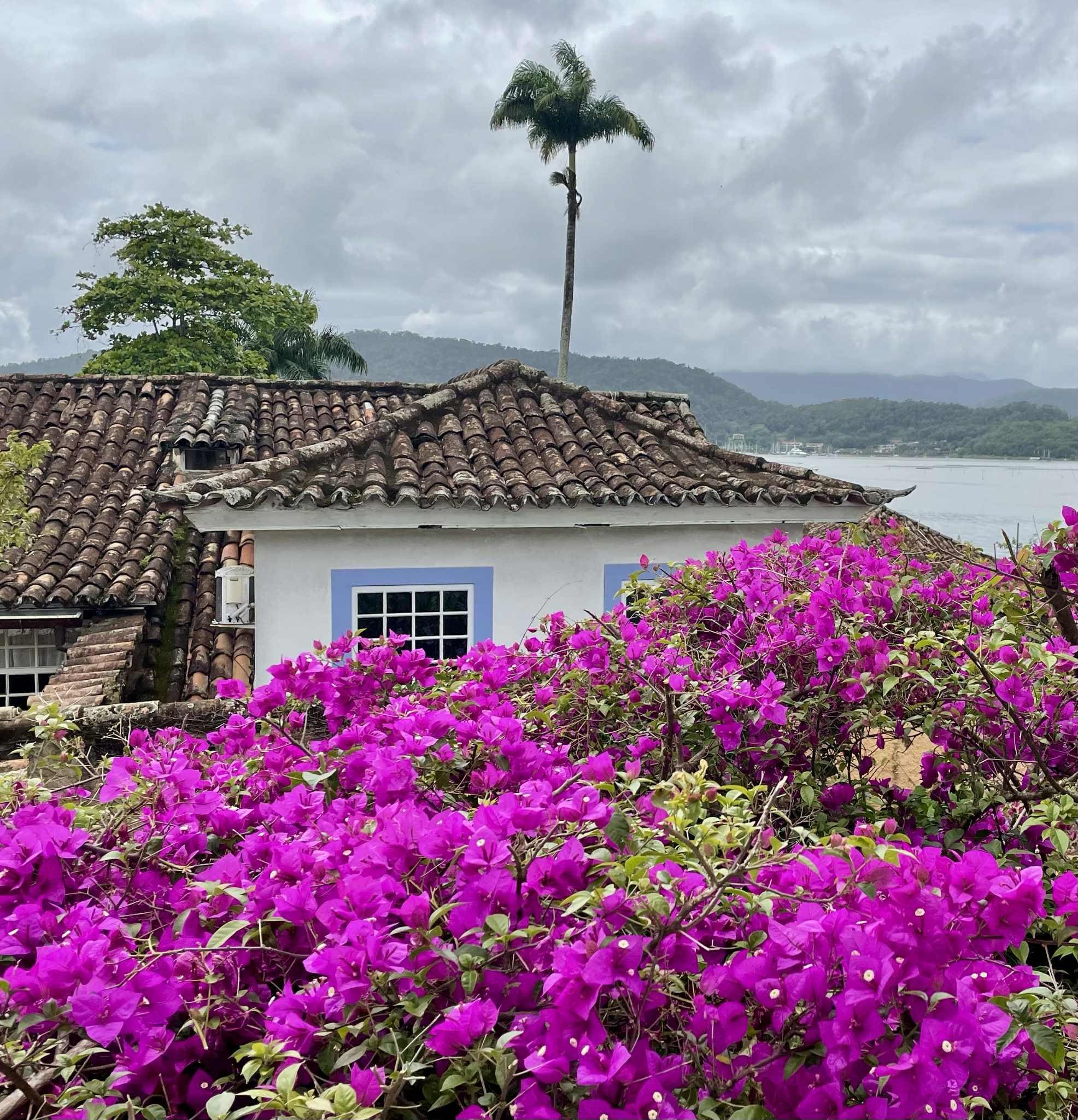 Vue de notre chambre