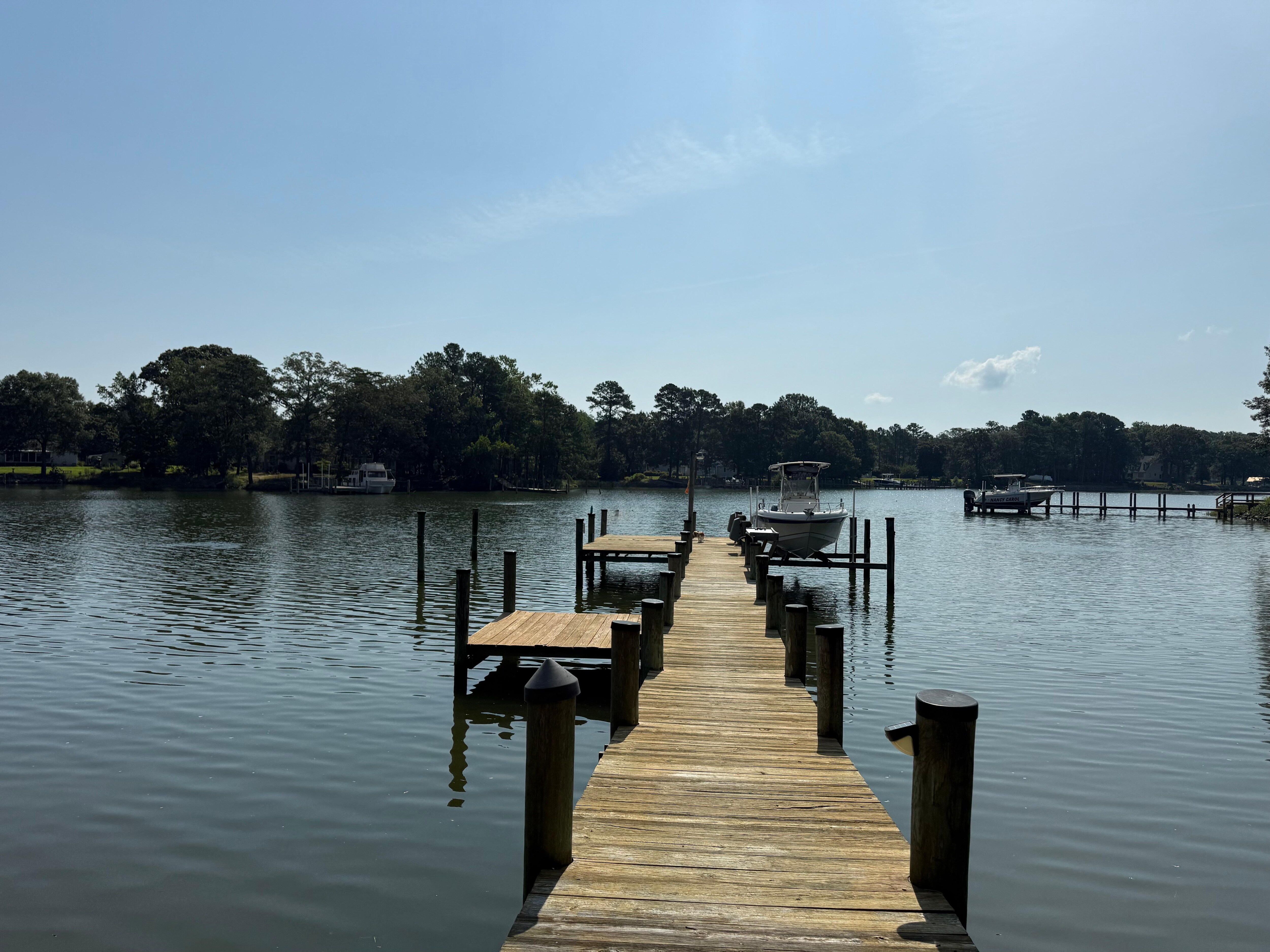 Quiet Dock Surrounded by Nature