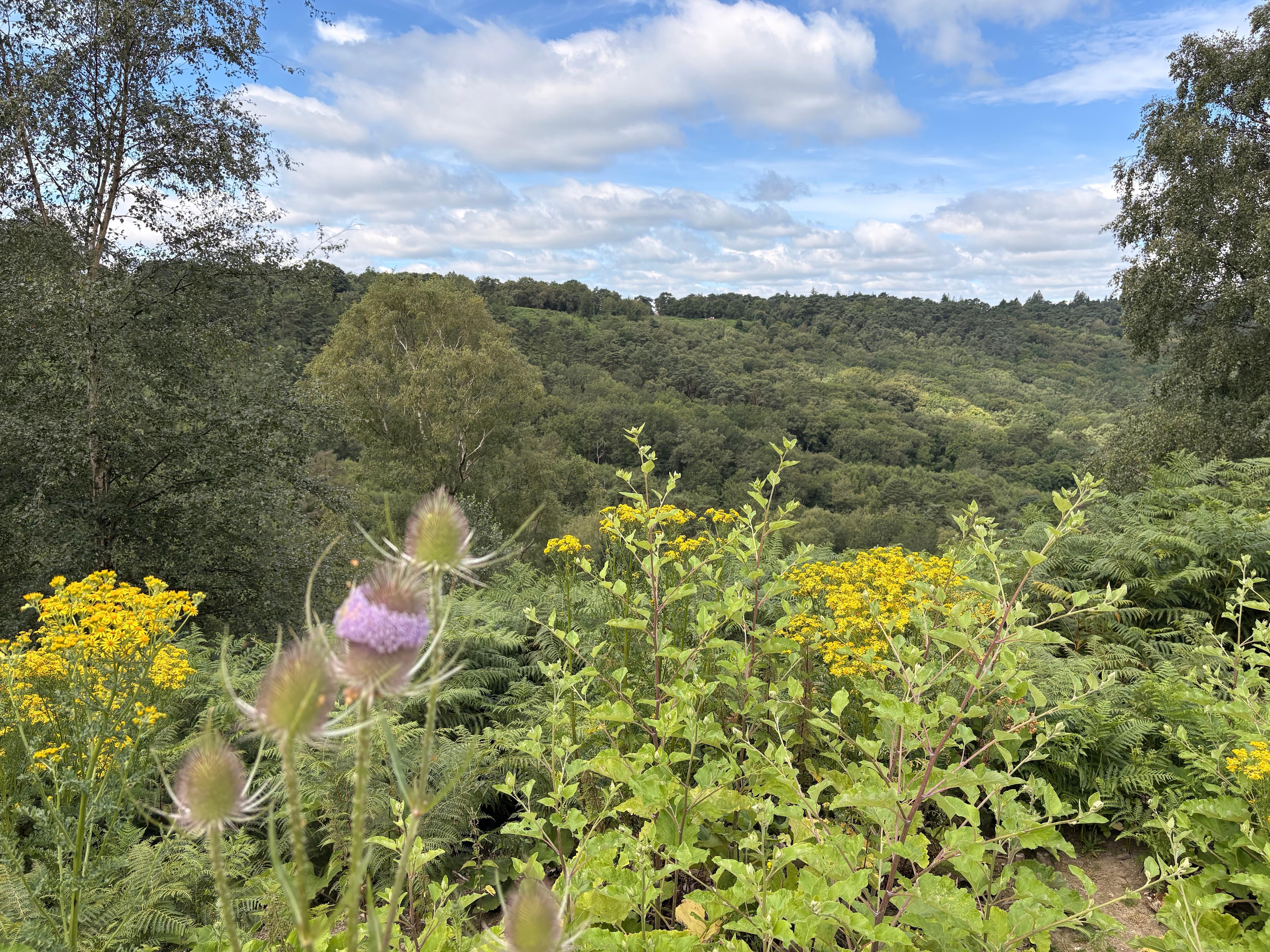 Devil’s Punchbowl