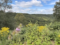 Devil’s Punchbowl