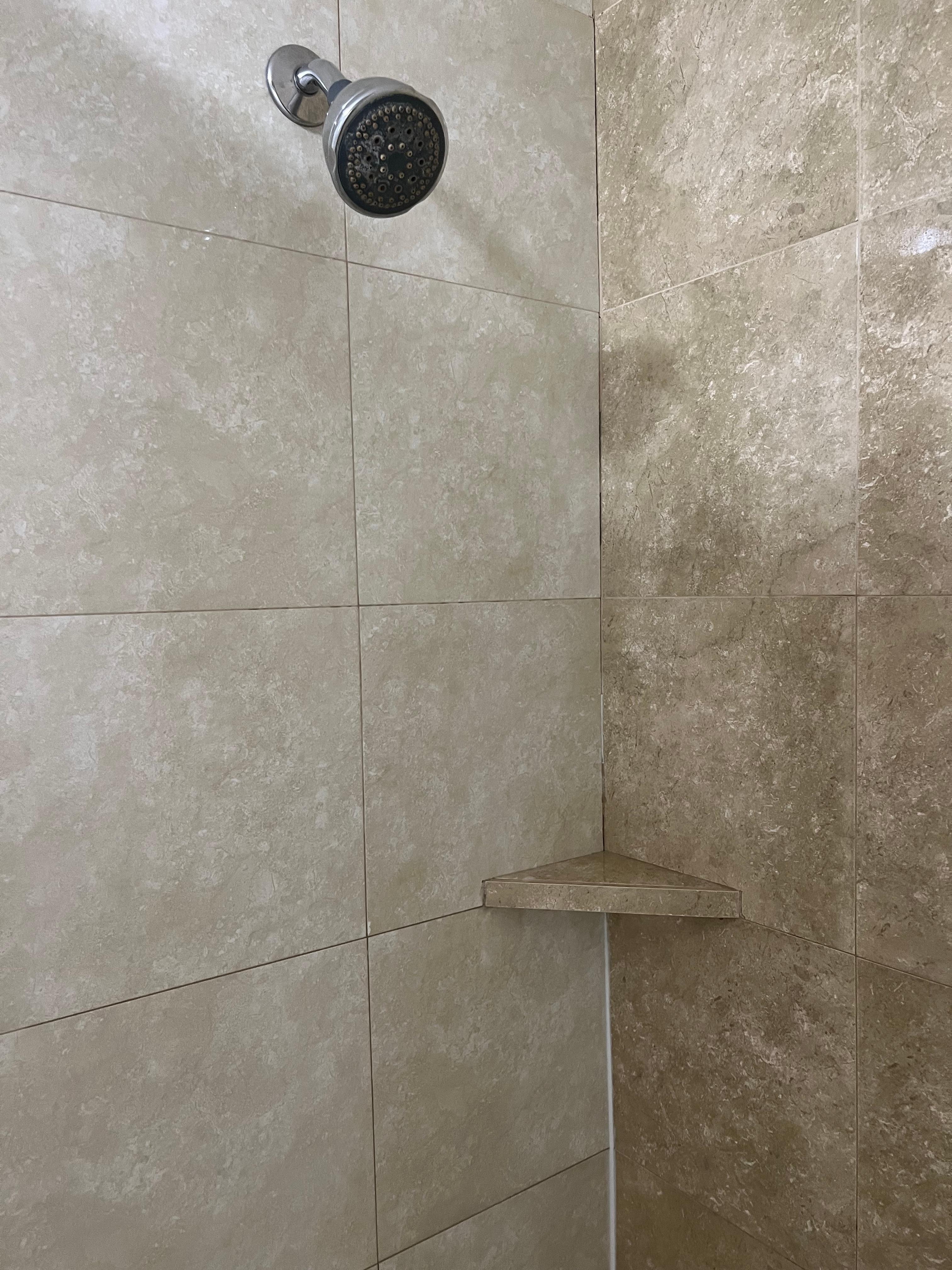 Shower was dirty and shower head had build up