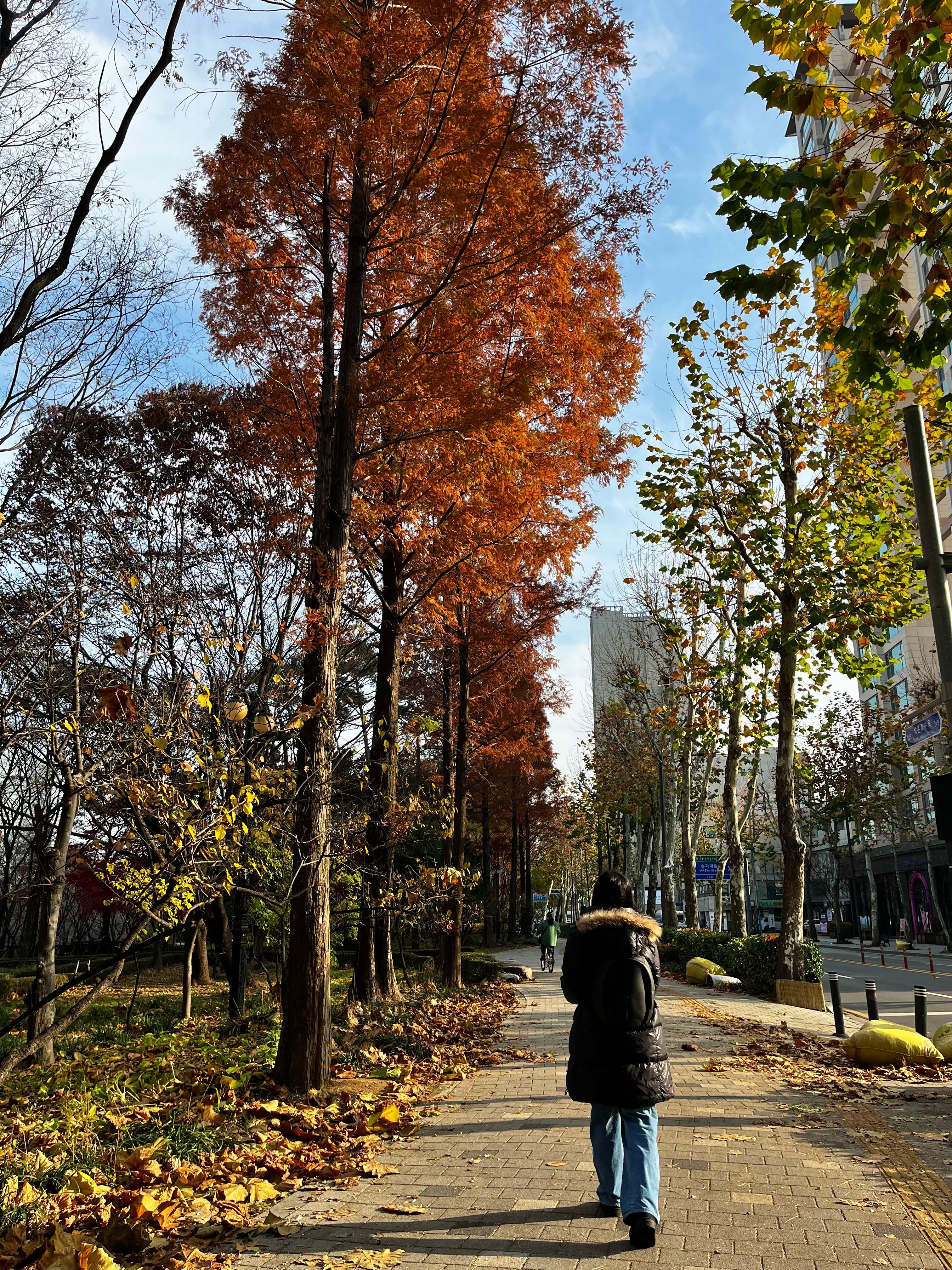 Park just outside the hotel