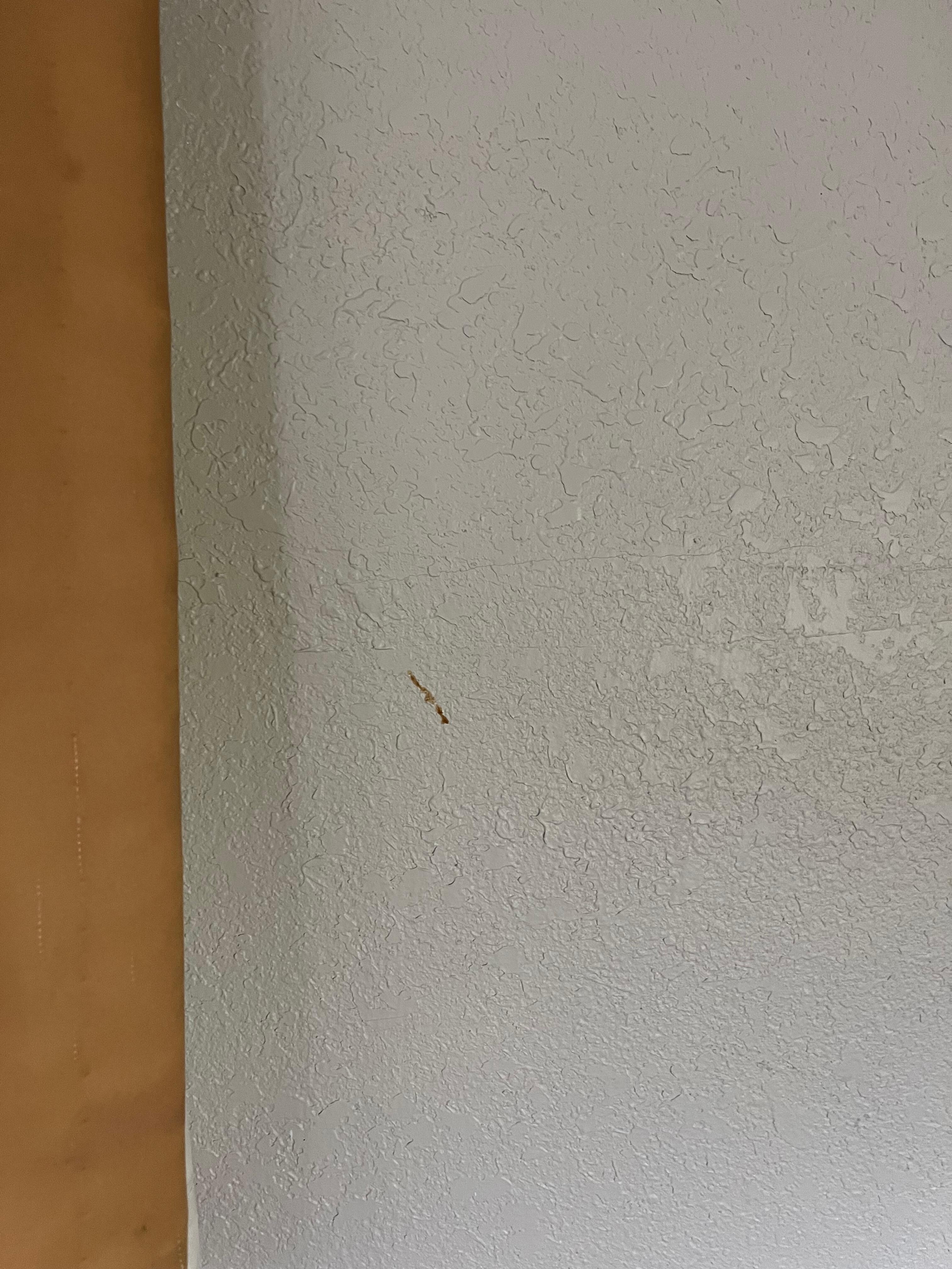 One of the many dirty spots on the wall