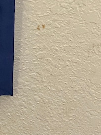 Stuff on the wall