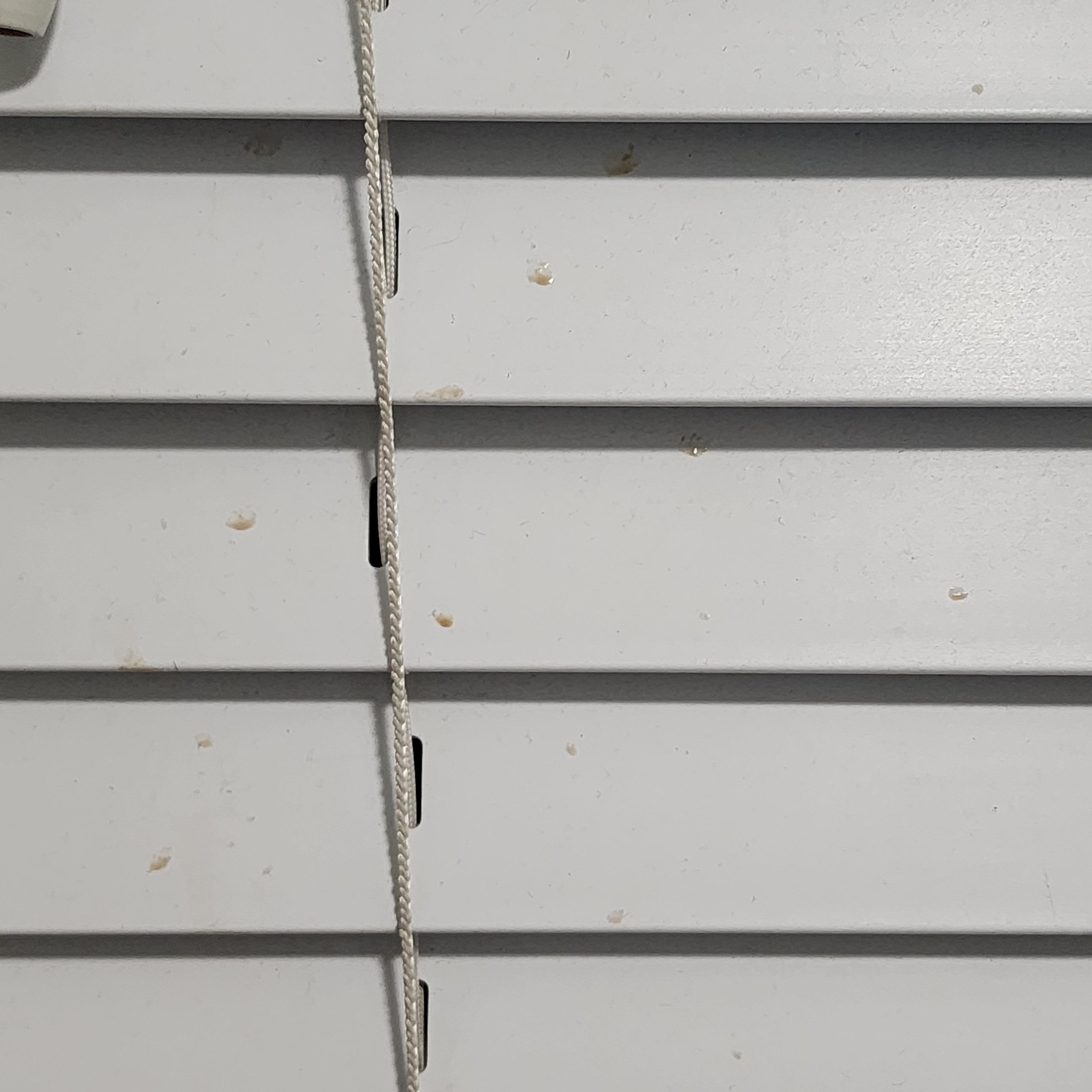 Dirty blinds 
