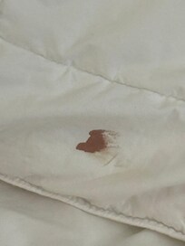 Blood on the corner of the comforter, notice while changing my grandson