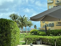 View from the patio