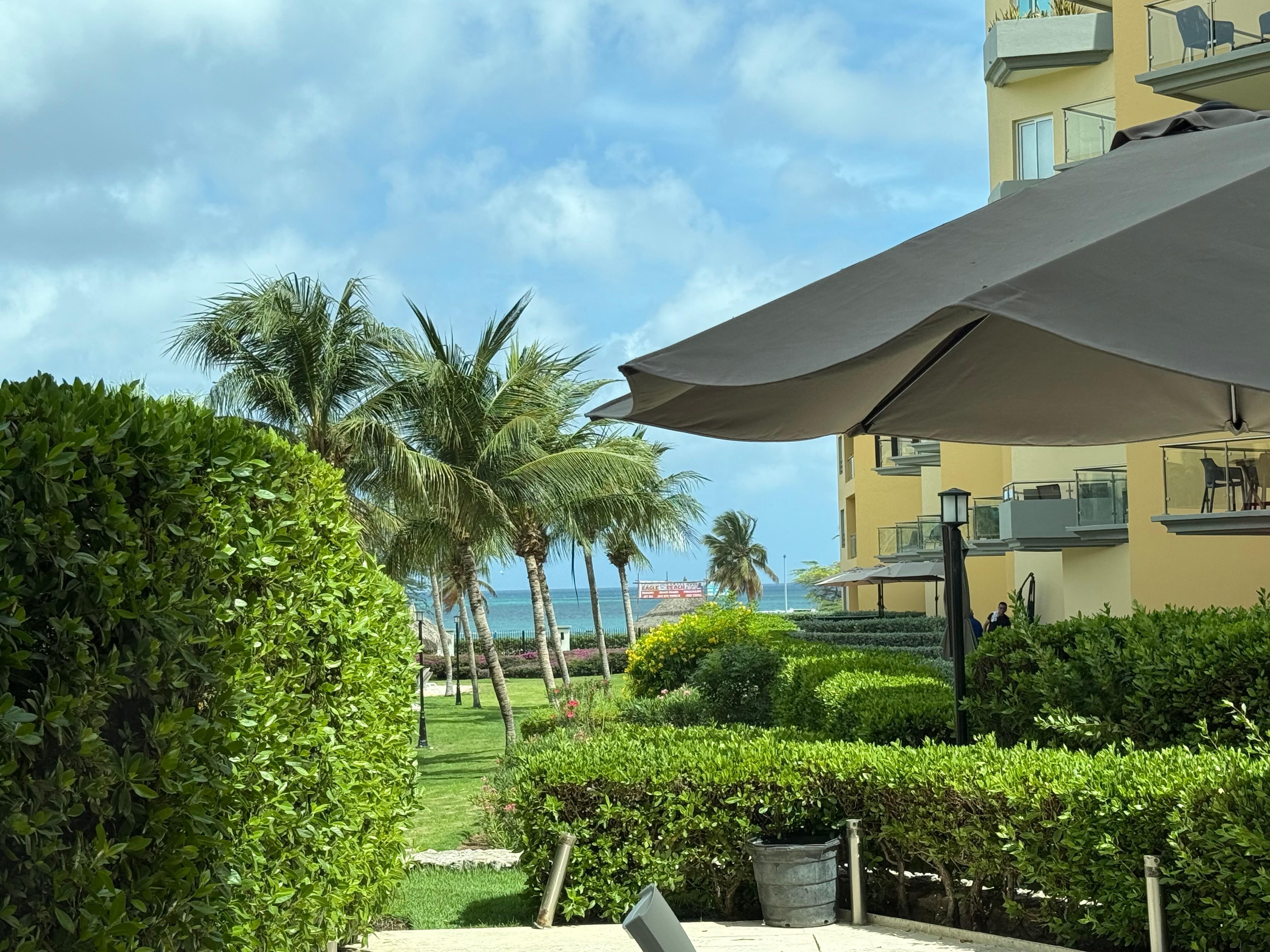View from the patio