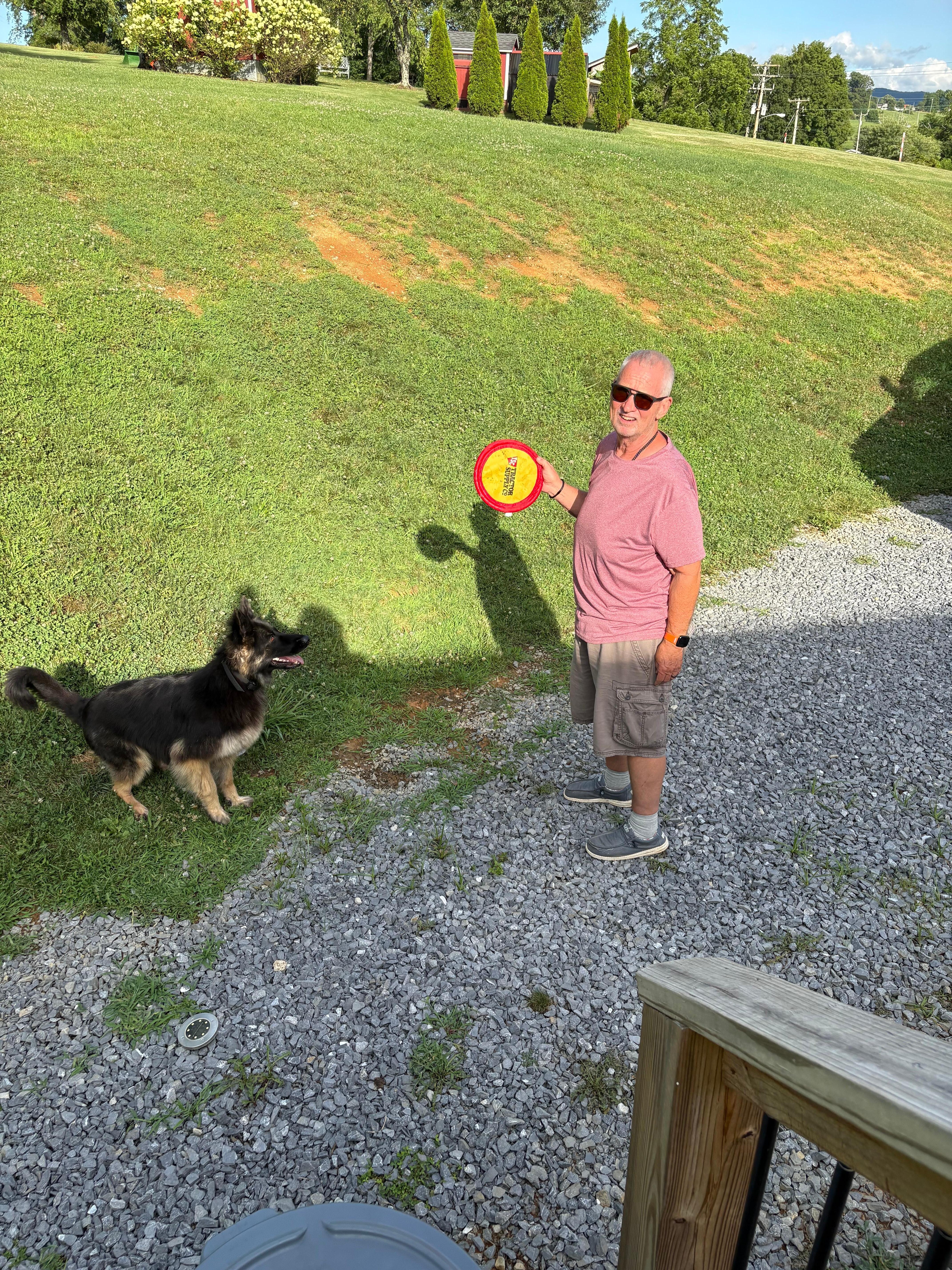 The dogs loved it too!