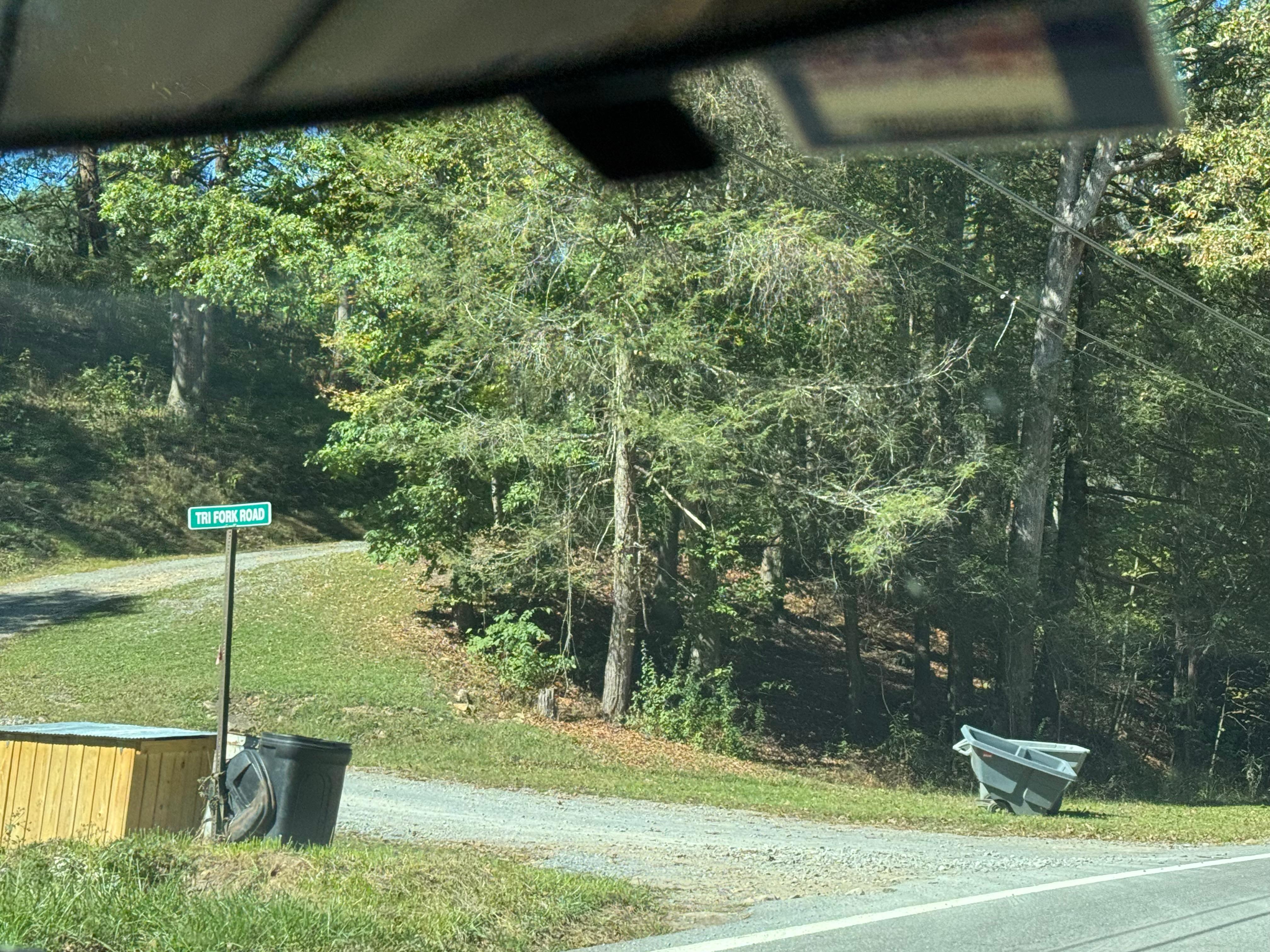 Turn left into cabin. Cabin is up gravel drive to left. 