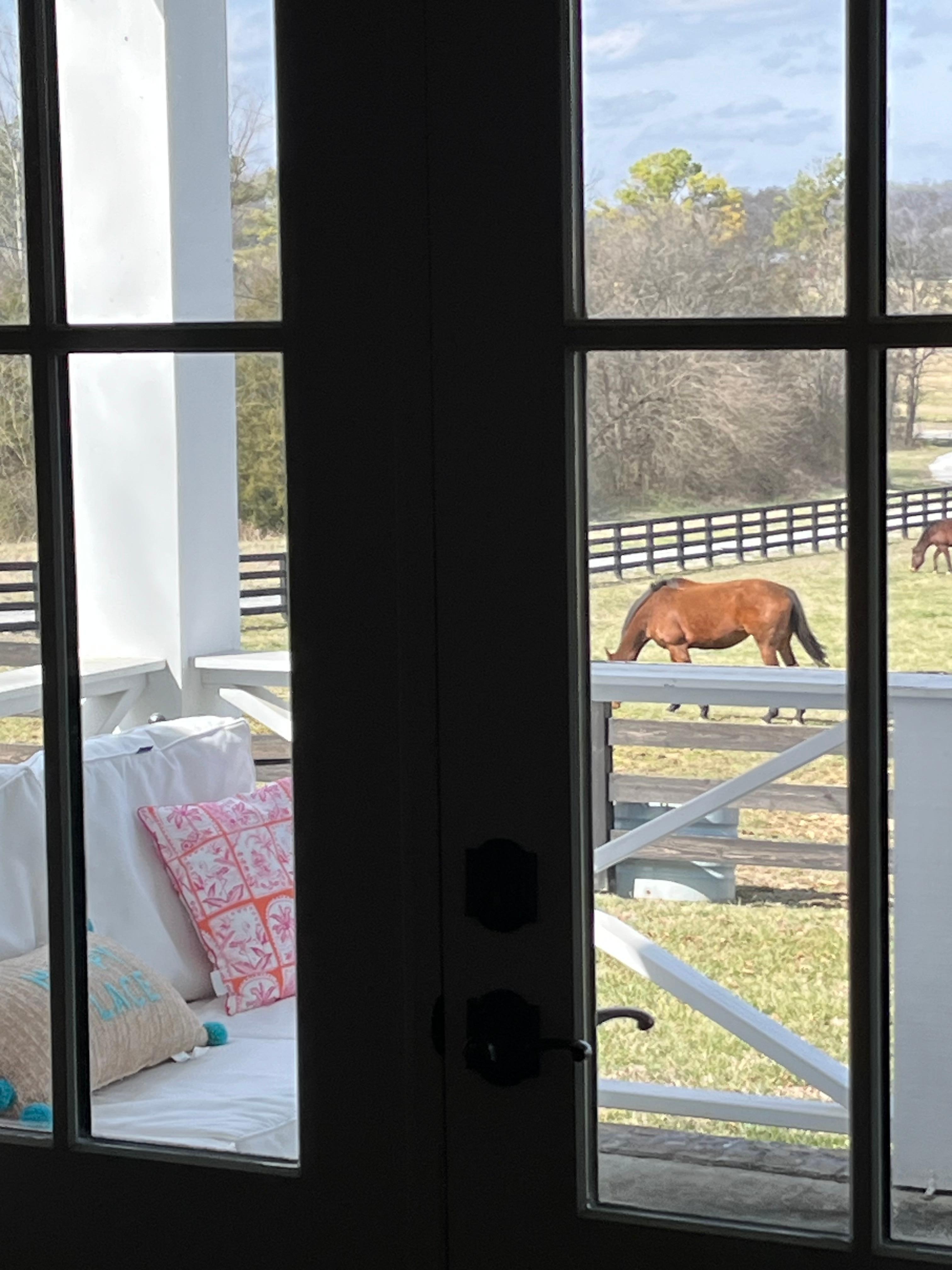 View from primary bedroom 
