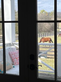 View from primary bedroom