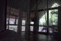 morning view