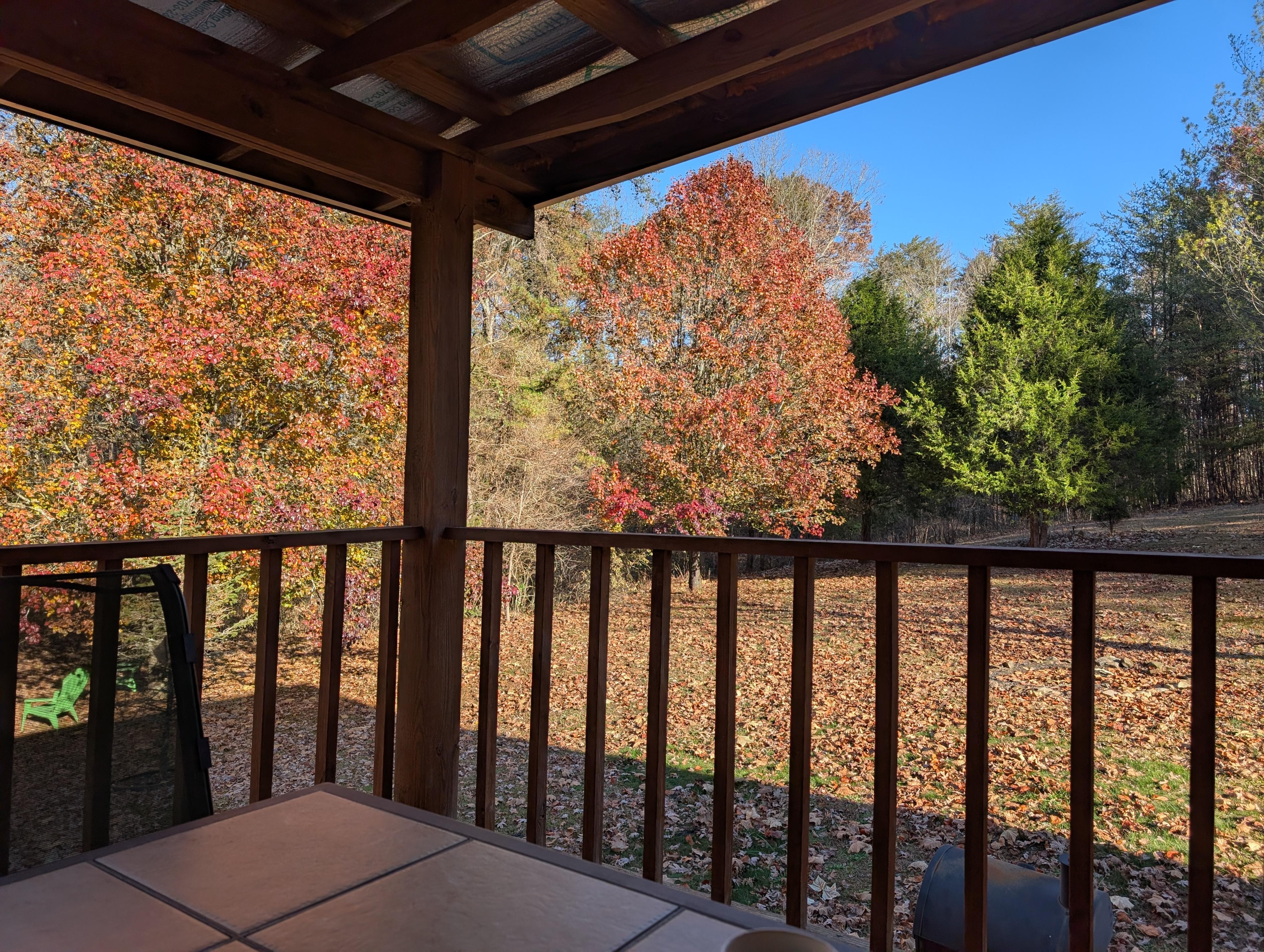 Lovely view on back deck
