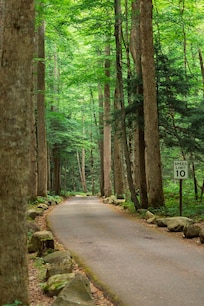 Roaring Fork Motor Trail
