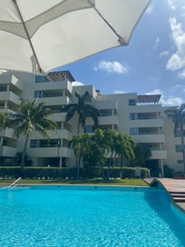 The view from the pool