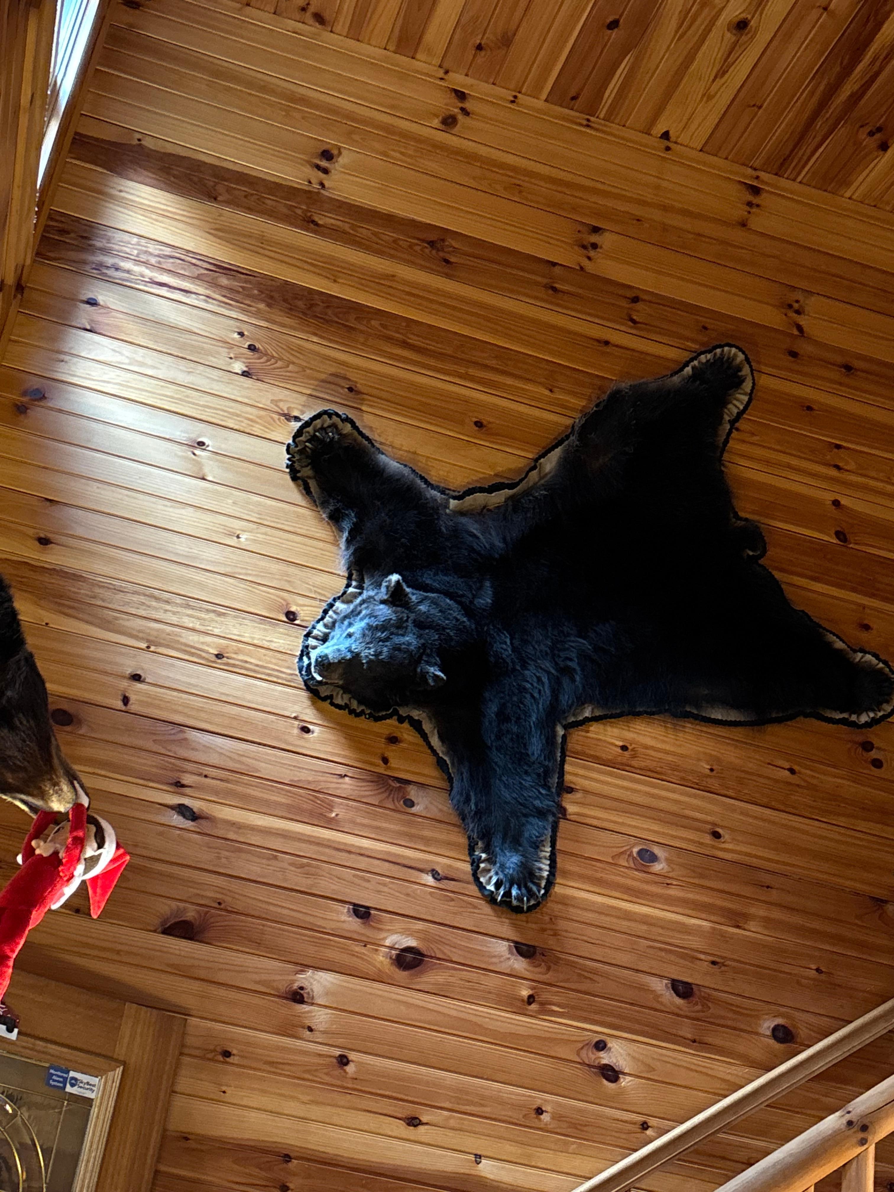 No one was attacked!