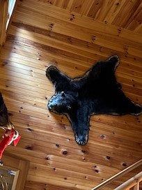 No one was attacked!