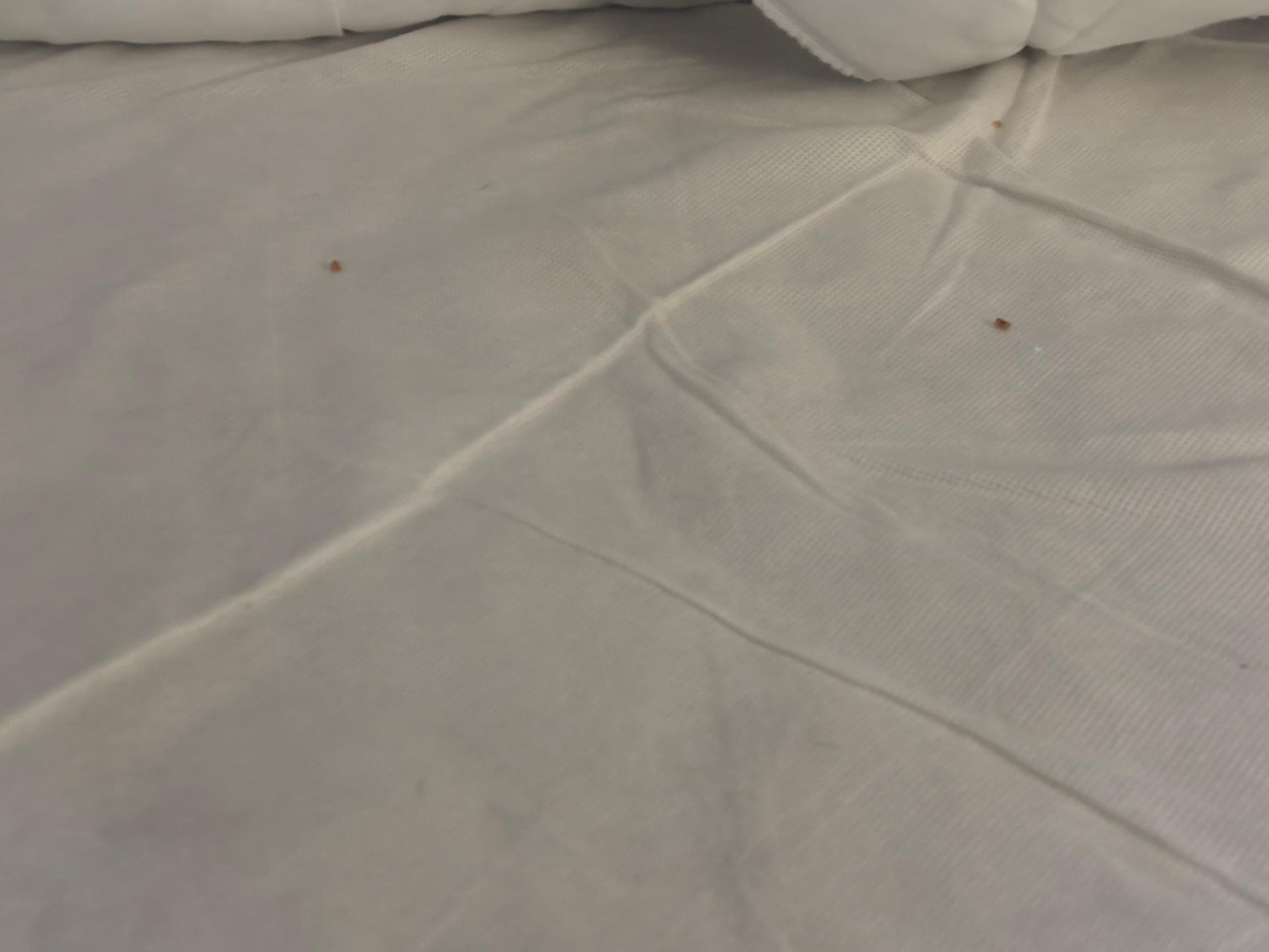 Rice under the blanket