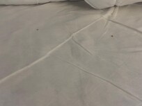 Rice under the blanket