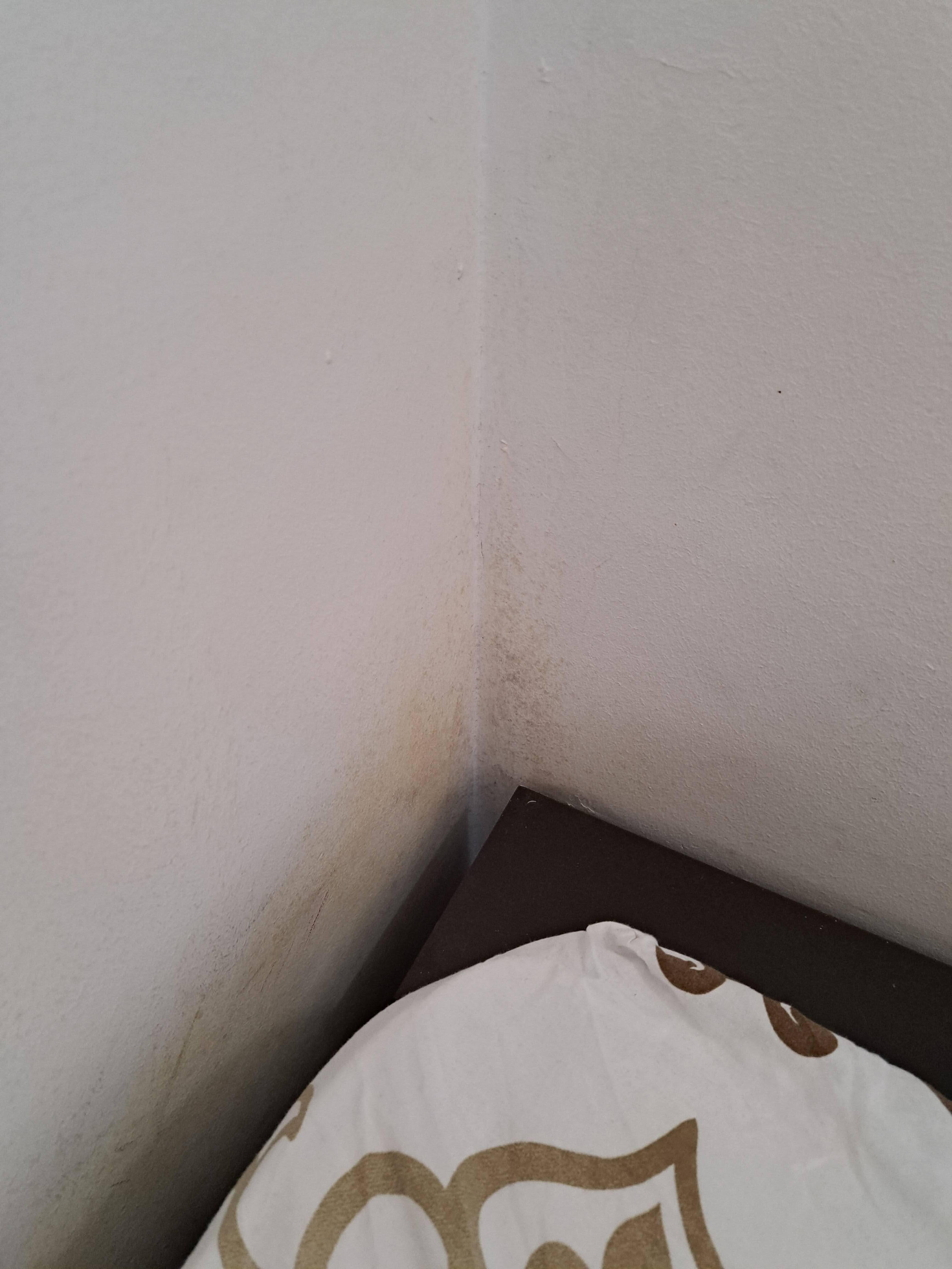 Schimmel in einem der Schlafzimmer.