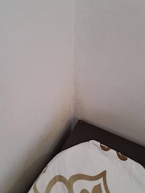 Schimmel in einem der Schlafzimmer.