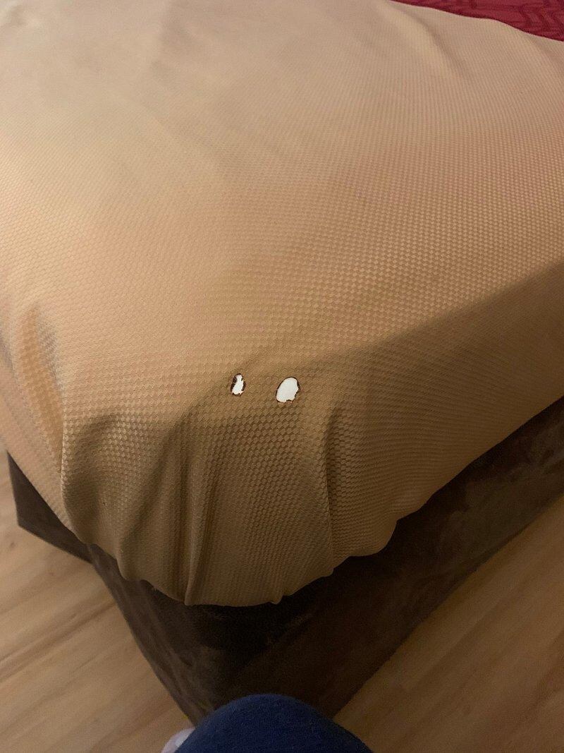 Disgusting beeding 