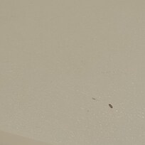 Dirt debris on shower floor close up