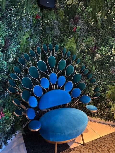 Peacock chair in cafe