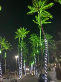 Viale di fronte all’hotel